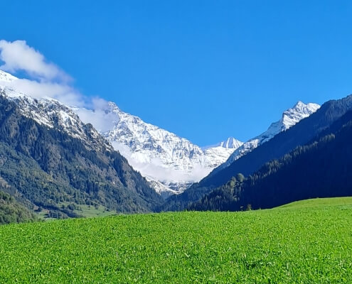 **Alt Text:** "Autumn in Verbier with snow-covered mountain tops, showcasing a beautiful contrast of fall foliage and early winter snow in the Swiss Alps."